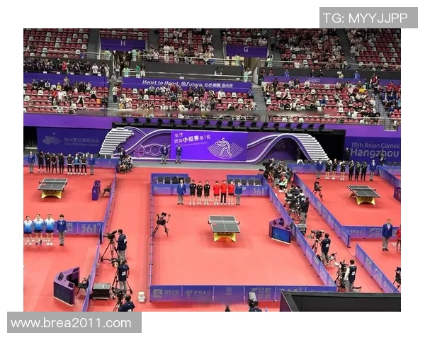 杭州乒乓球队的辉煌征程与世界杯的精彩碰撞 杭州乒乓球队的辉煌征程与世界杯的精彩碰撞