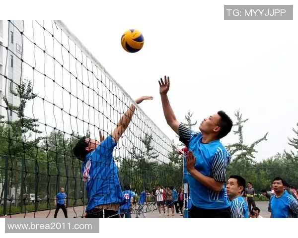 武汉排球队战术揭秘：排球巨献背后的策略与团队协作分析