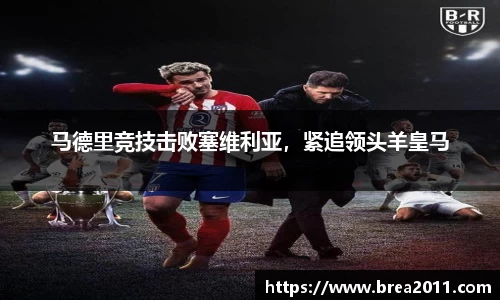zoty中欧官网