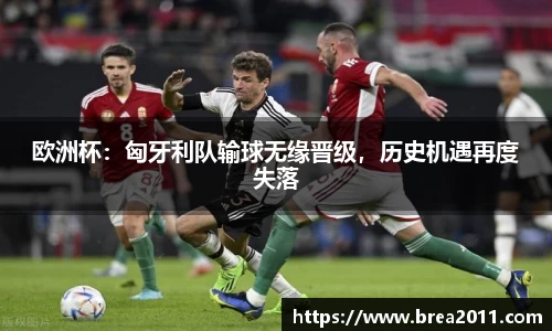 zoty中欧官网