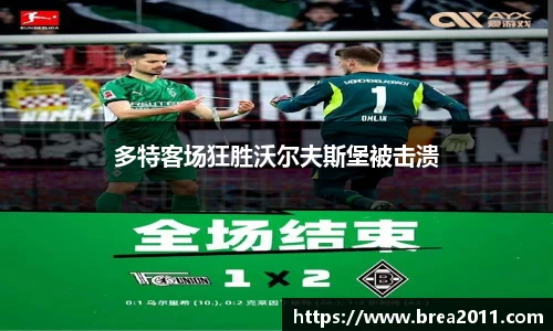 zoty中欧官网