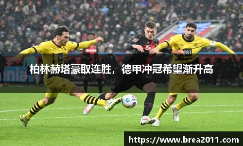 zoty中欧