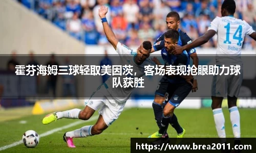 zoty中欧官网