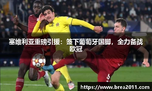 zoty中欧