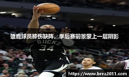 zoty中欧官方网站