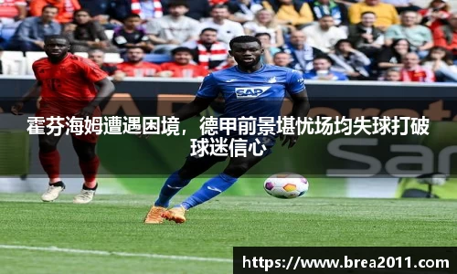 霍芬海姆遭遇困境，德甲前景堪忧场均失球打破球迷信心