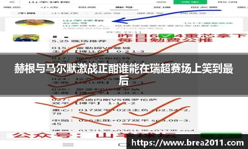 赫根与马尔默激战正酣谁能在瑞超赛场上笑到最后