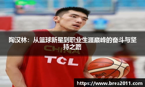 陶汉林：从篮球新星到职业生涯巅峰的奋斗与坚持之路