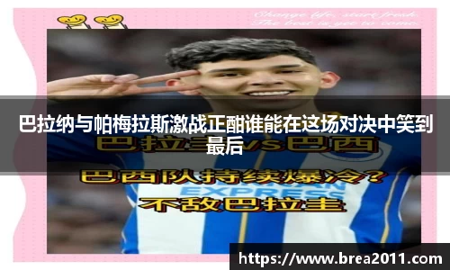 zoty中欧官方网站