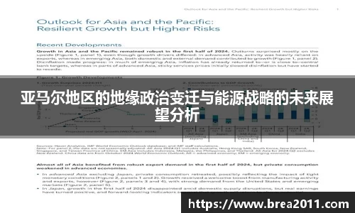 亚马尔地区的地缘政治变迁与能源战略的未来展望分析