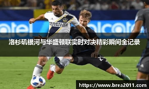 zoty中欧官网