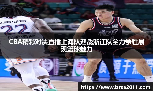 zoty中欧官方网站