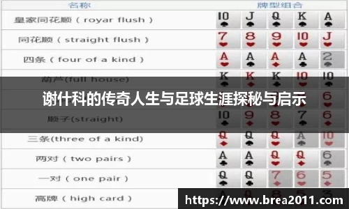 谢什科的传奇人生与足球生涯探秘与启示