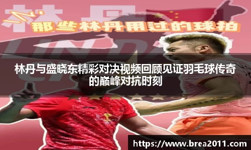 林丹与盛晓东精彩对决视频回顾见证羽毛球传奇的巅峰对抗时刻