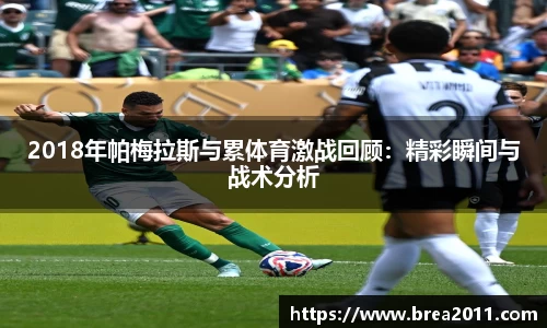 zoty中欧官网