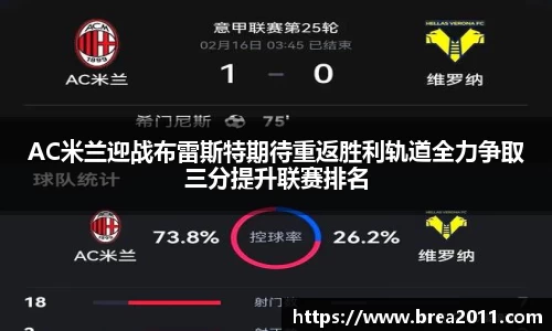 zoty中欧
