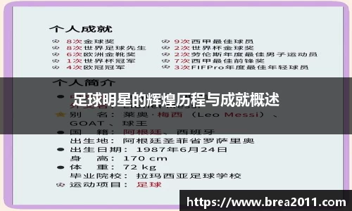 zoty中欧官方网站