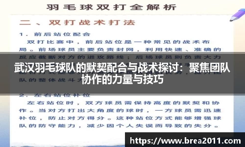 武汉羽毛球队的默契配合与战术探讨：聚焦团队协作的力量与技巧
