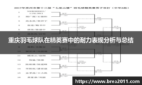 重庆羽毛球队在精英赛中的耐力表现分析与总结